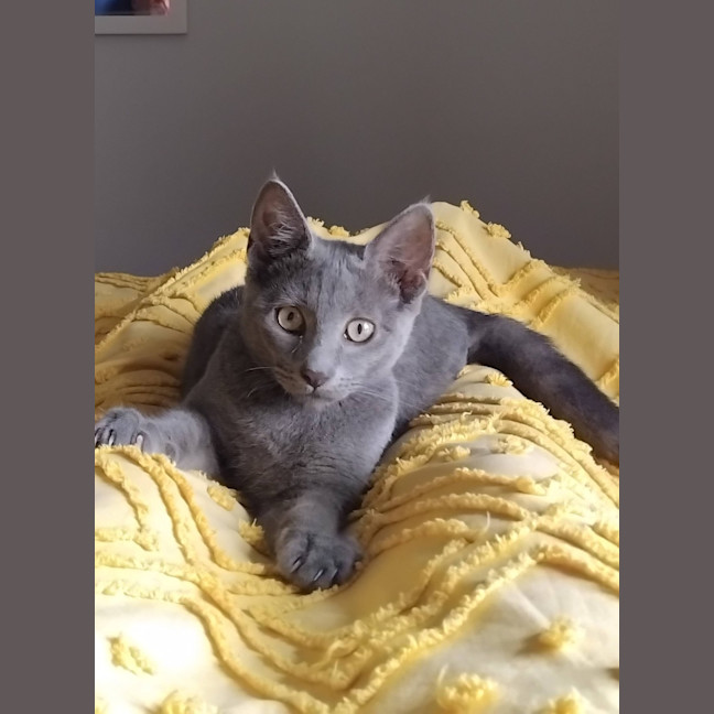 Photo of Frodo