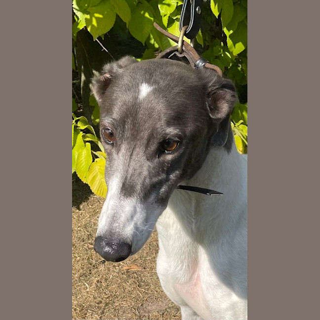 Photo of Edna