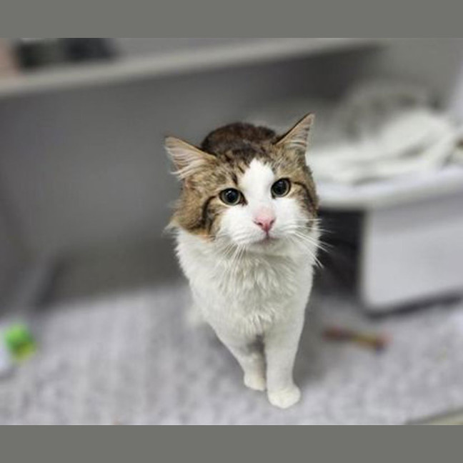Photo of Big Boy Banjo
