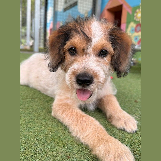 Photo of D1236 Sunny