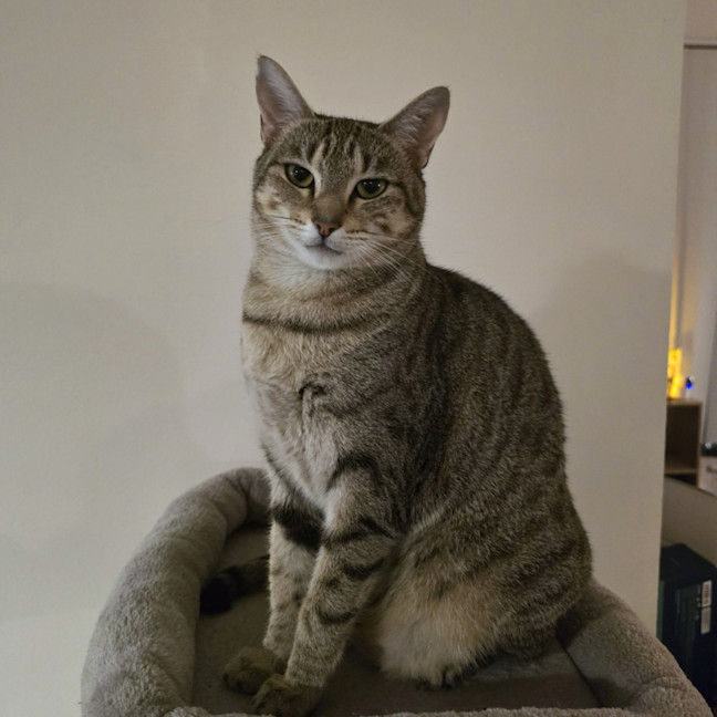 Photo of Nini