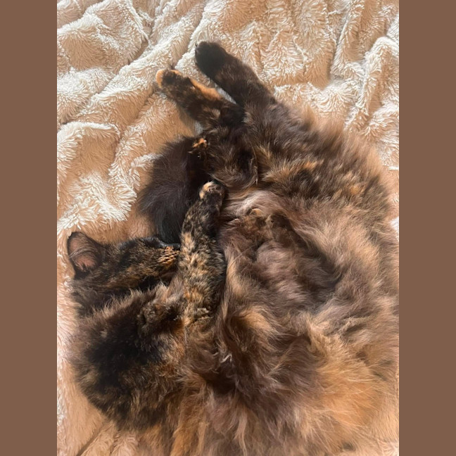 Photo of Phoebe
