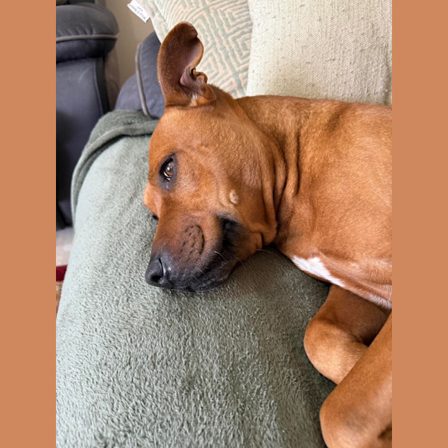 Photo of Charlie
