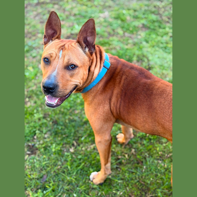 Photo of Reuben