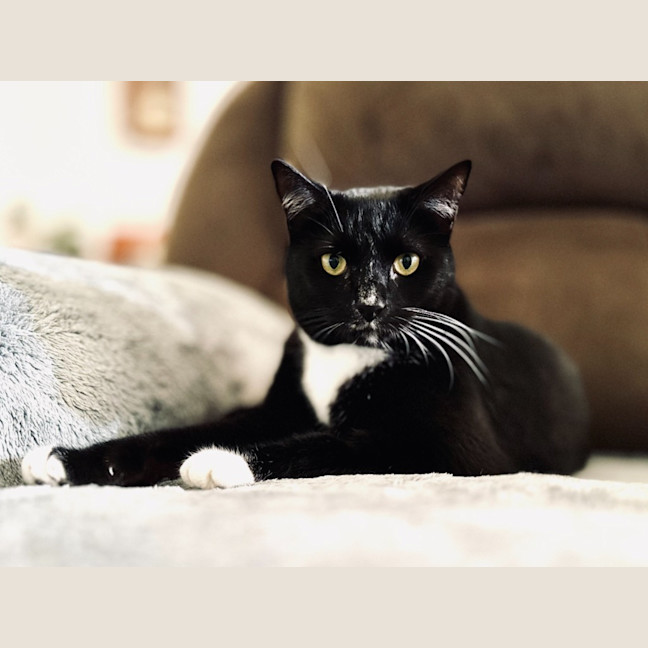 Photo of Wayne