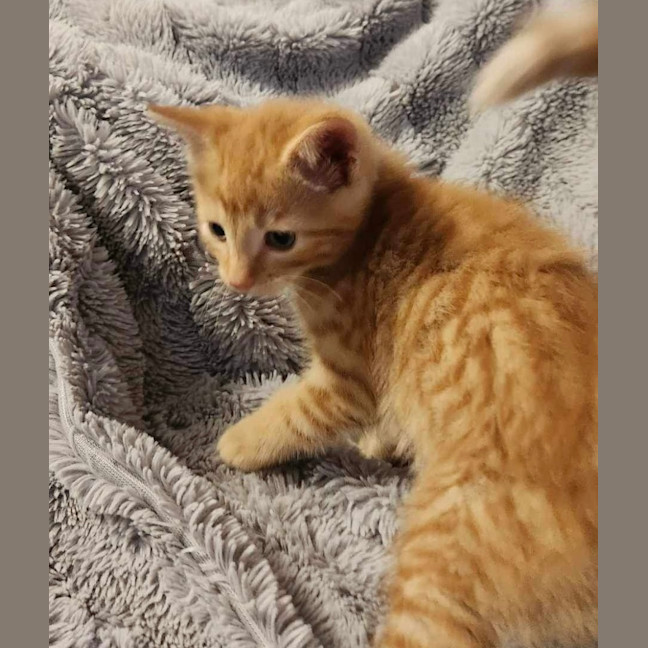 Photo of Miss Garfield 