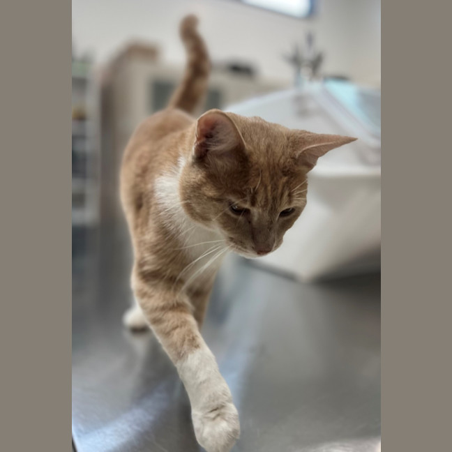 Photo of Floyd (0203)