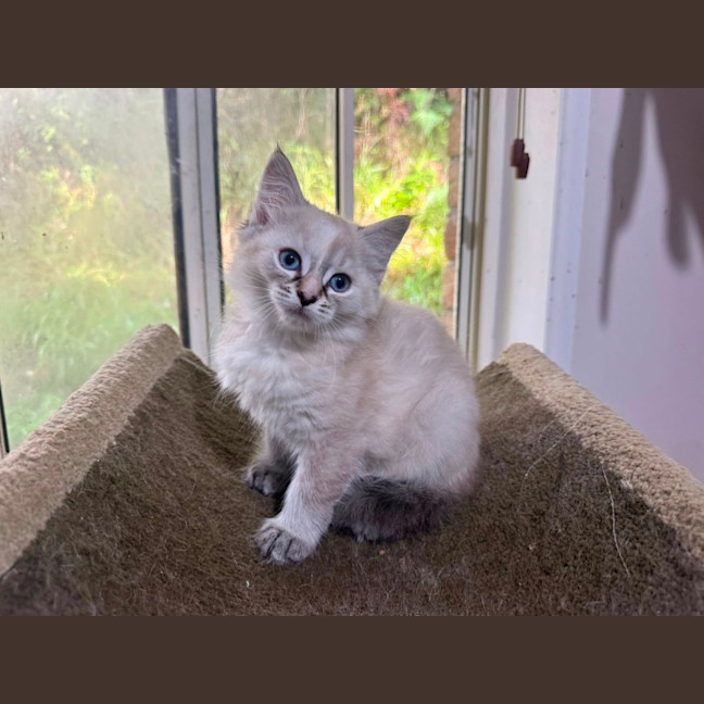 Photo of Roo