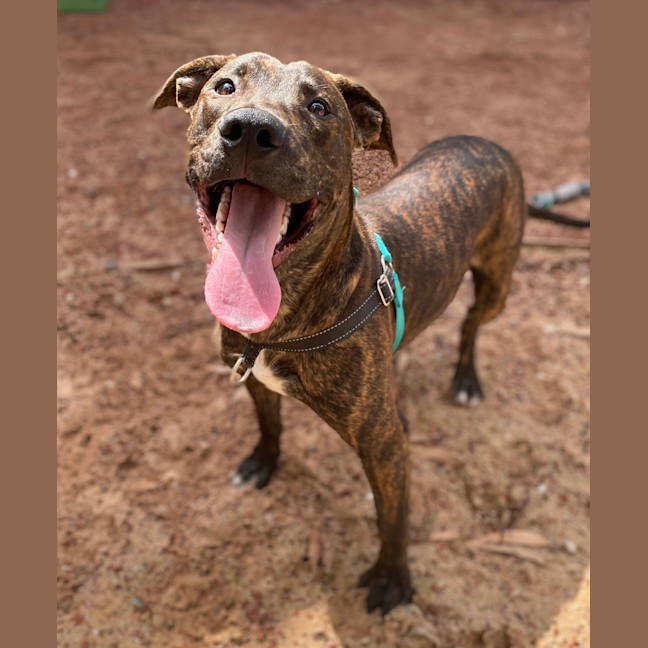 Photo of Starsky (Now Called Narloo)