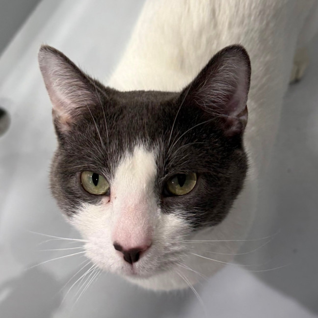 Photo of Pablo 🌟🌴