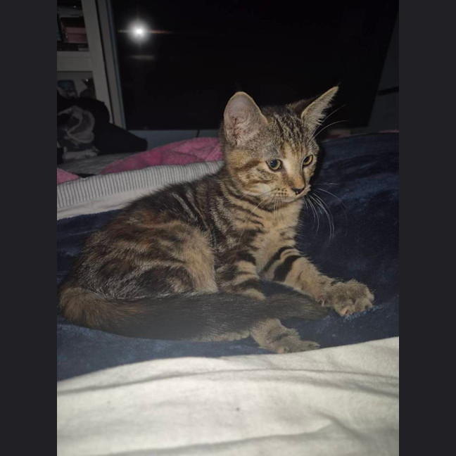 Photo of Narla