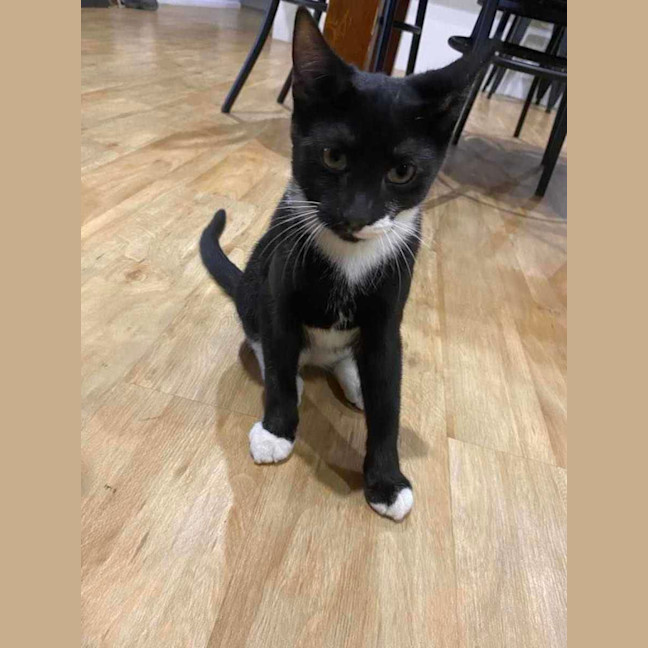 Photo of Chuppa Chup