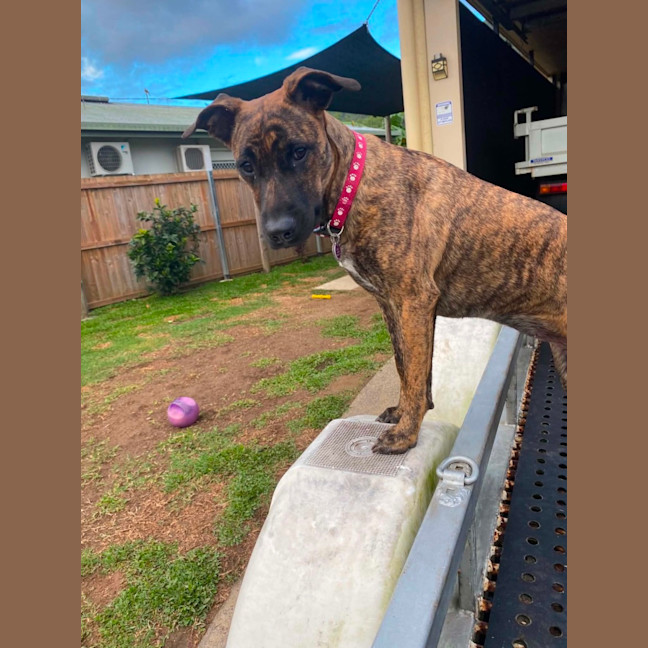 Photo of Penny