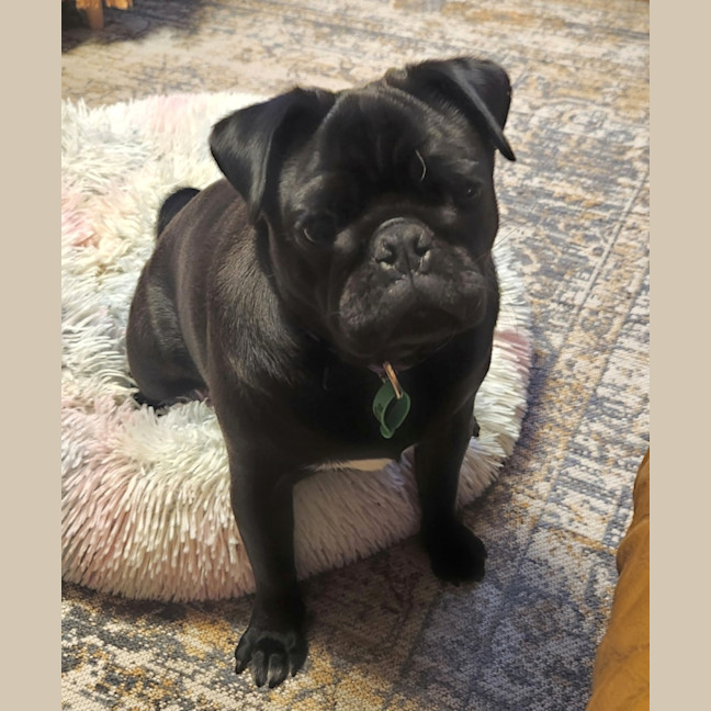 Photo of Coco