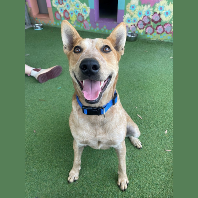 Photo of D1214 Bella