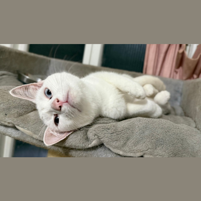 Photo of Tammy