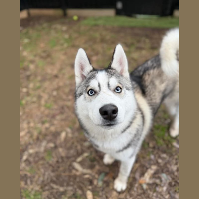 Photo of Echo