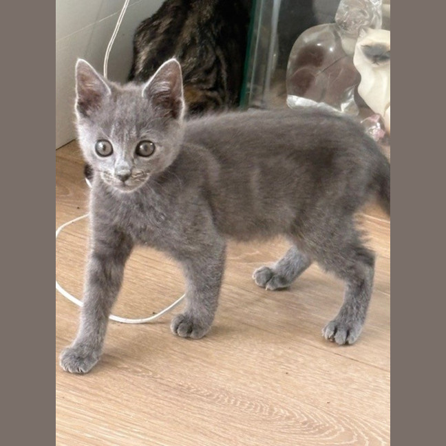 Photo of Wafer And Et