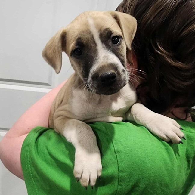 Photo of Epponnee Rae