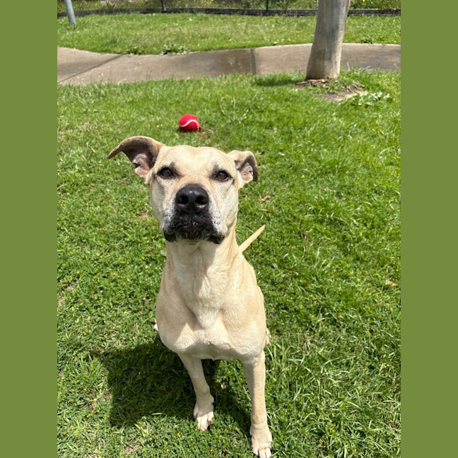 Photo of Delilah 