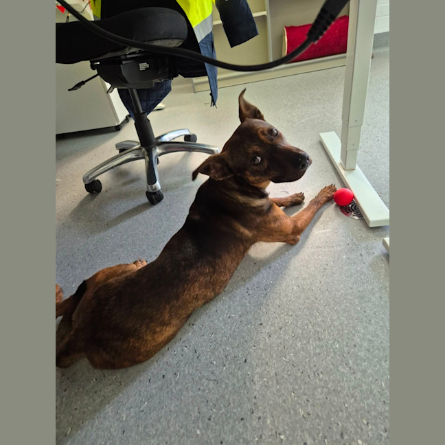 Photo of Toohey! 🍻