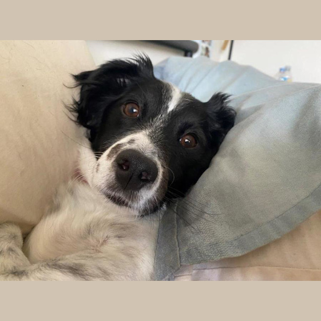 Photo of Sam Jablonski