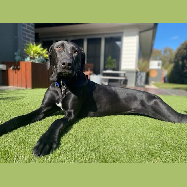 Photo of Maggie 🌻