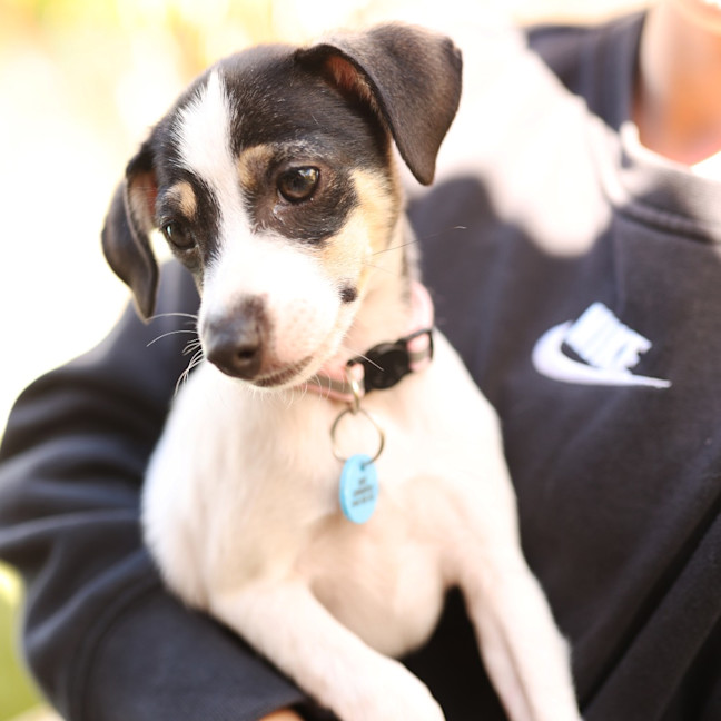 Photo of Jive