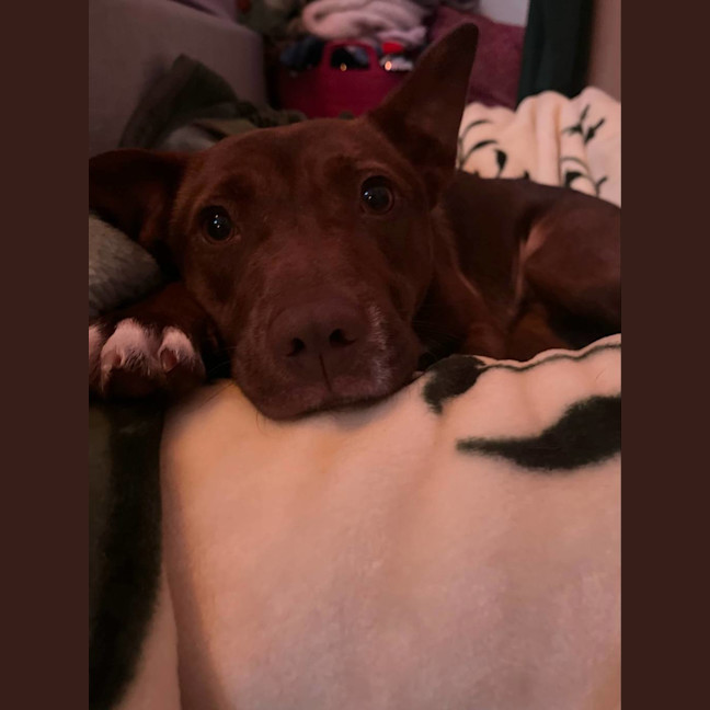 Photo of Lulu