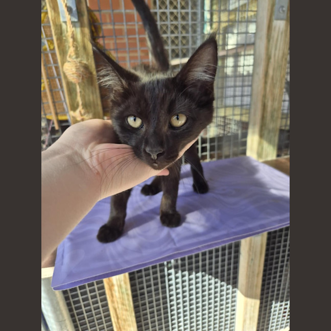Photo of Salem! 🖤