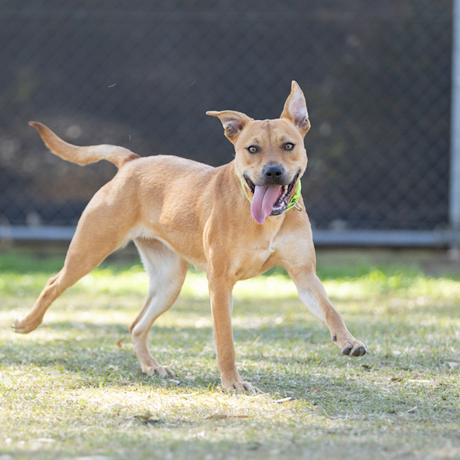 Photo of Sugar
