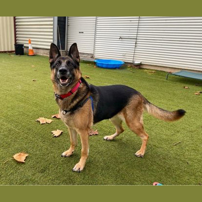 Photo of Heidi