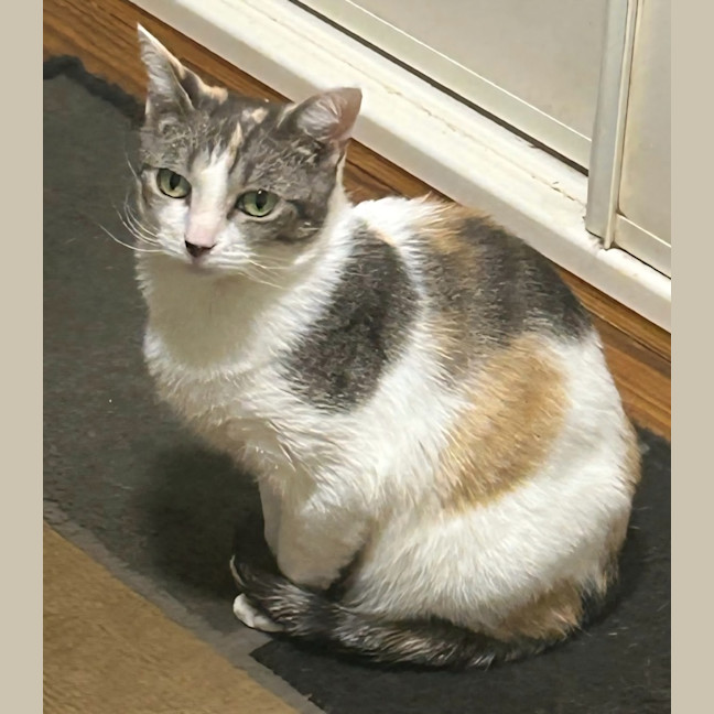 Photo of Vera