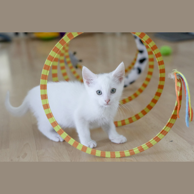 Photo of Lily