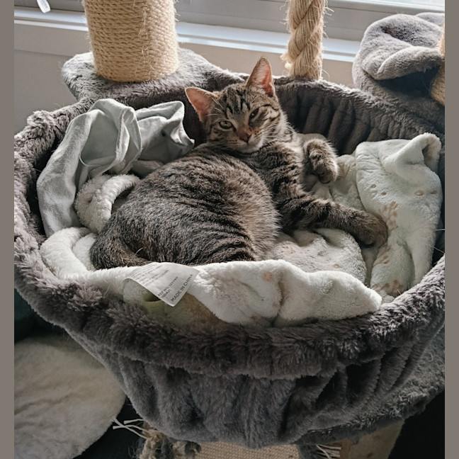 Photo of Selina