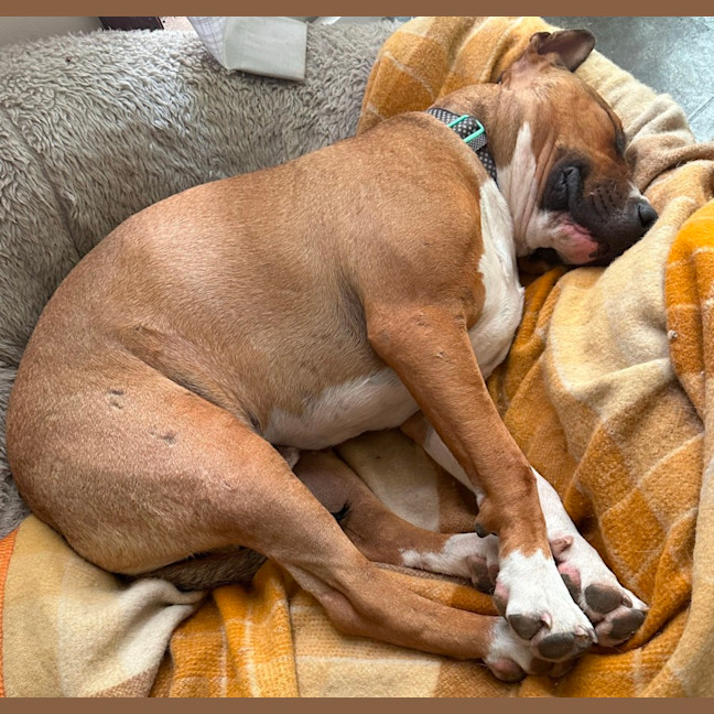 Photo of Billy