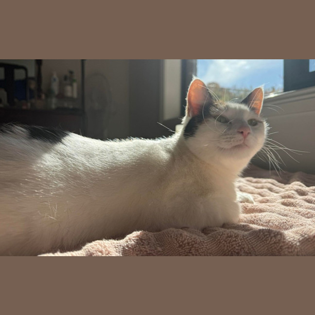 Photo of Fleur