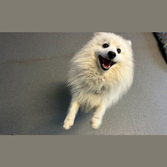 Photo of Billy