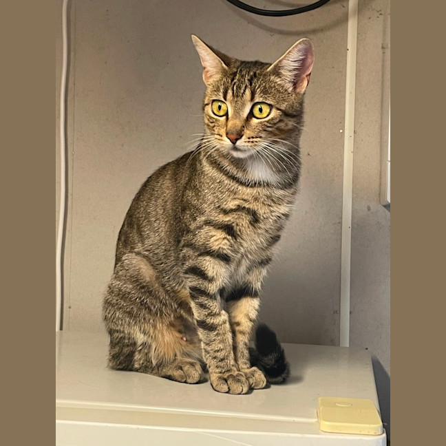 Photo of Polly