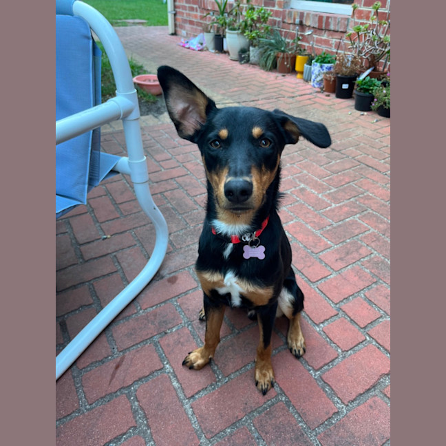 Photo of Melvin
