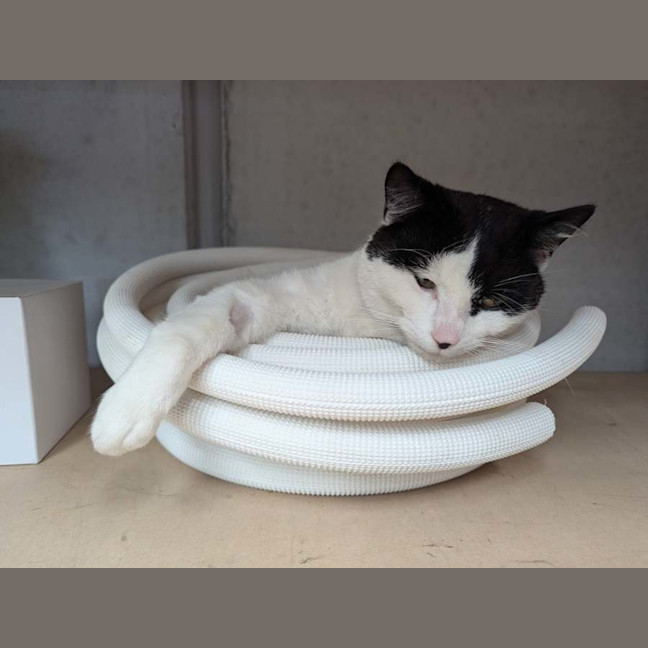 Photo of Plush**2nd Chance Cat Rescue**