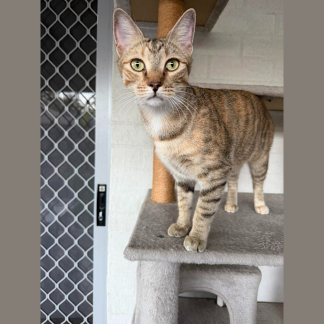 Photo of Matilda