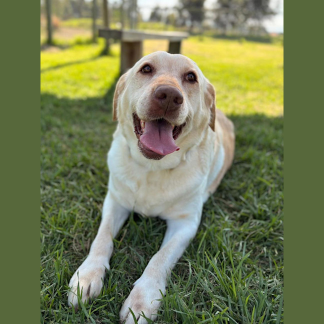 Photo of Lexi