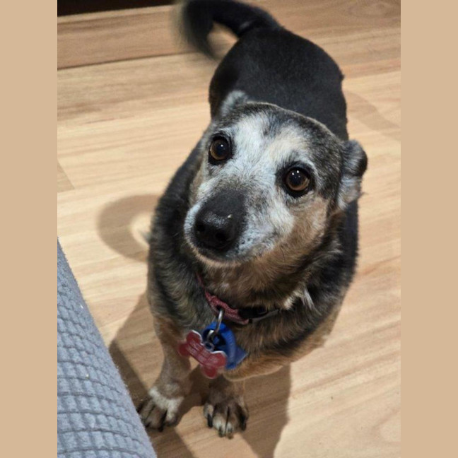 Photo of Barney Lozano