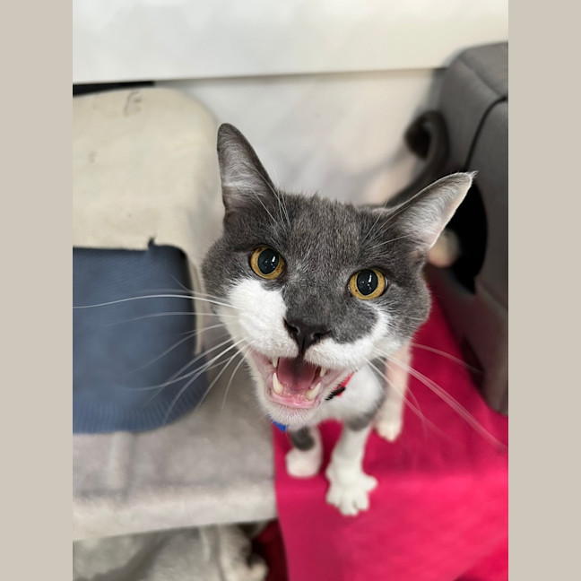 Photo of Principal Flutie 