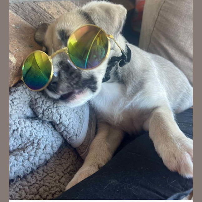 Photo of Jocelyndara