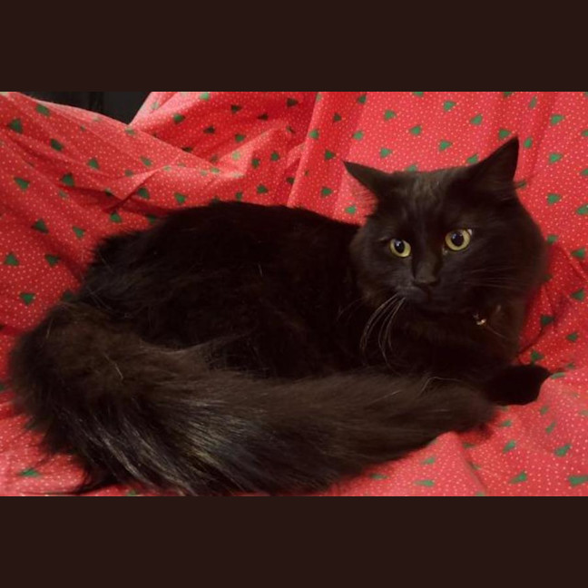 Photo of Turbo