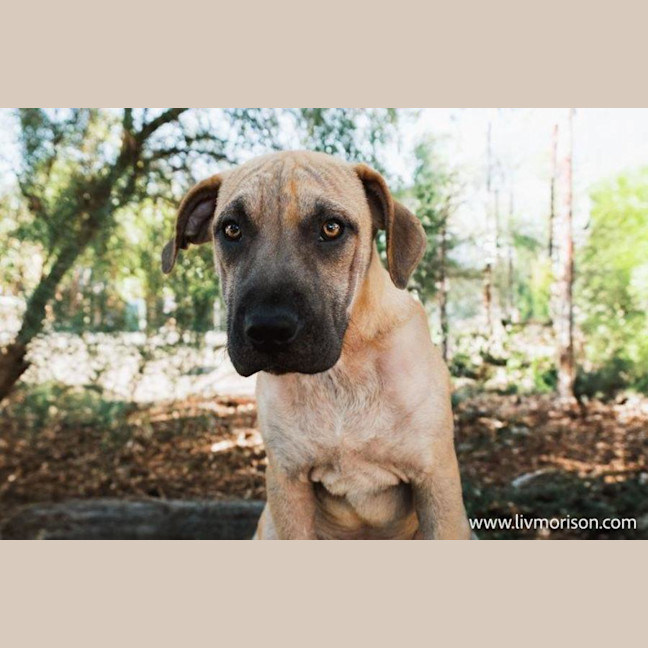 Photo of Liam O’cleary