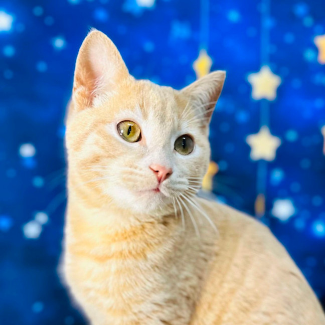 Photo of Russ (Located In Preston) 