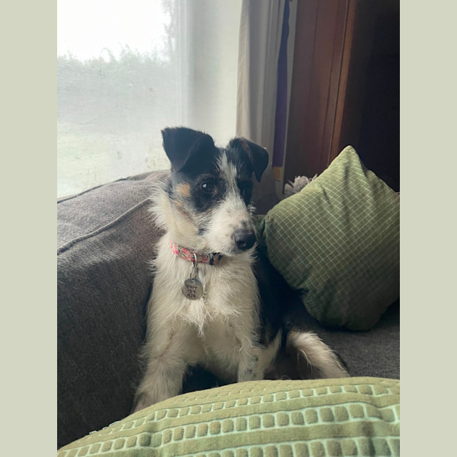 Photo of Tessa